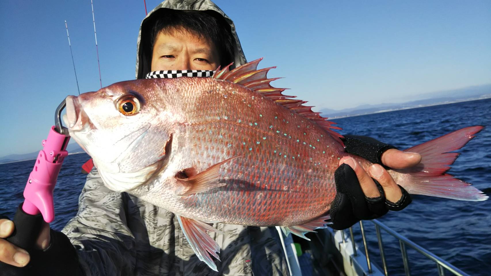 宮城の真鯛釣り遊漁船オーシャンズラボの釣果ブログ