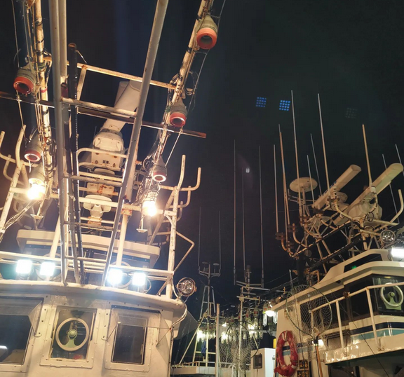 宮城釣り船オーシャンズラボの真鯛ジギング