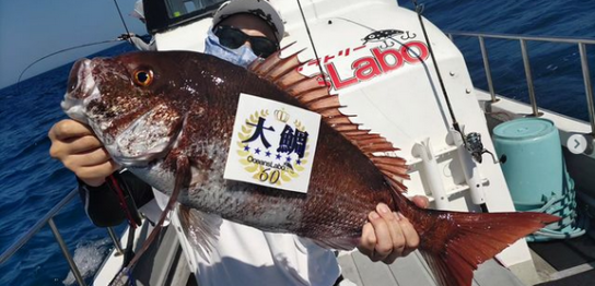 宮城釣り船オーシャンズラボの真鯛ジギング