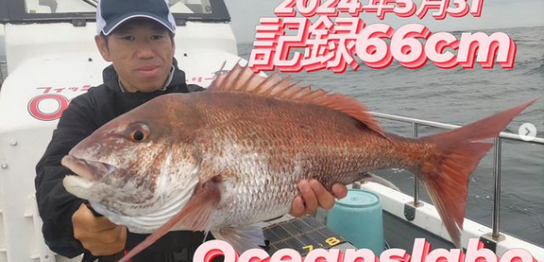 宮城釣り船オーシャンズラボの真鯛ジギング