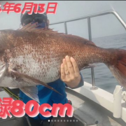 宮城釣り船オーシャンズラボの真鯛ジギング