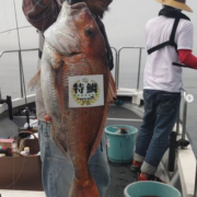 宮城釣り船オーシャンズラボの真鯛ジギング