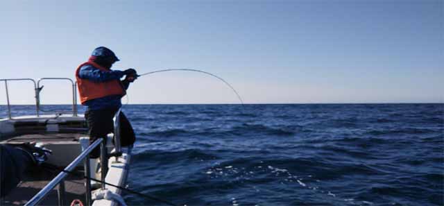 Recommended fishing tackle