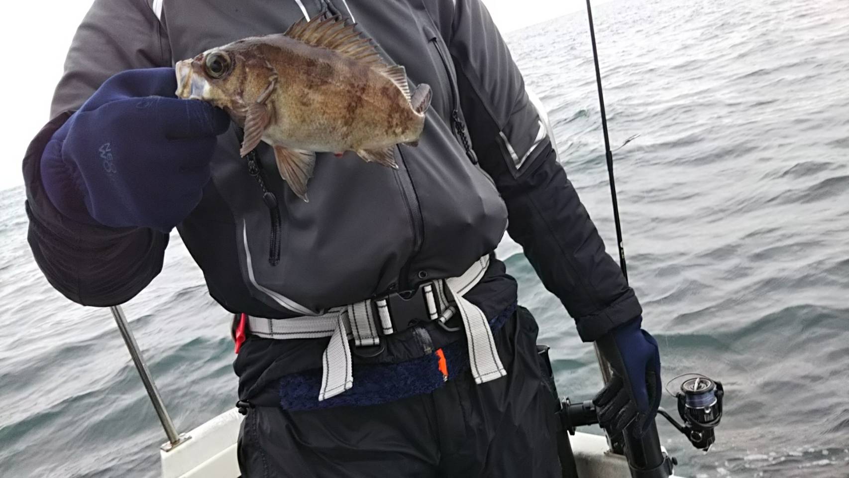 2019年の釣納めは石巻湾にてクロソイ3匹！鼈甲ソイ１匹！そのほか根魚20匹でした
