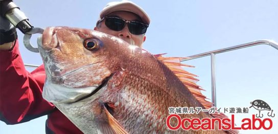 仙台湾の真鯛釣り！初心者様も大歓迎で本日も真鯛１枚とたくさんのお魚が釣れたよ