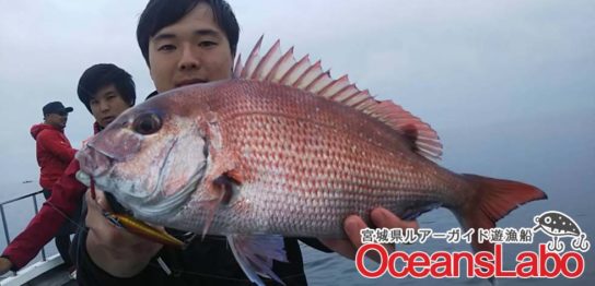 宮城県仙台湾近場のポイントでの真鯛ちゃん♡ゲットだぜ