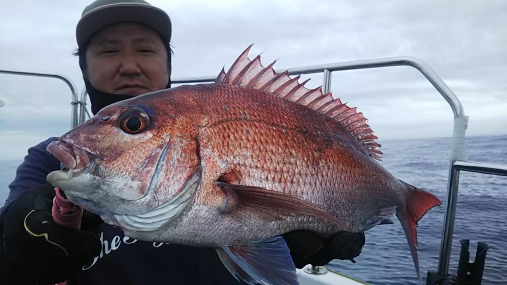 宮城県仙台湾沖の真鯛釣りはお魚パラダイス