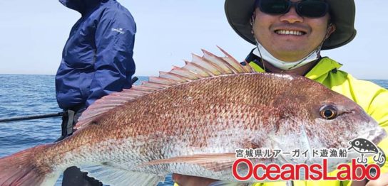 宮城県沖釣り船の真鯛ジギング