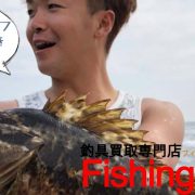 鼈甲オタクの現役漁師と行く金華山50cmデブモンスター鼈甲捕獲釣行記の画像
