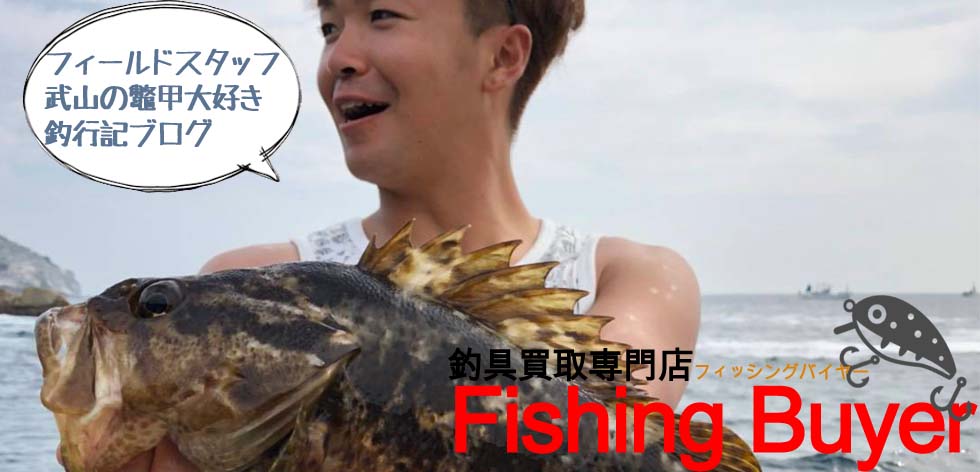 鼈甲オタクの現役漁師と行く金華山50cmデブモンスター鼈甲捕獲釣行記の画像